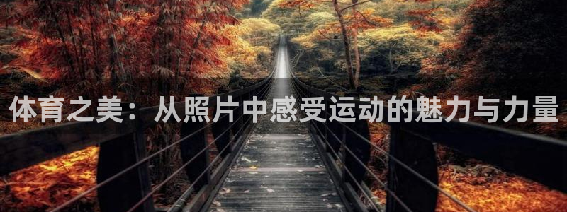 体育之美：从照片中感受运动的魅力与力量