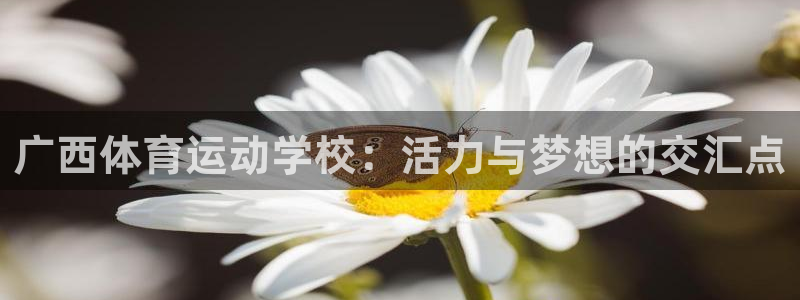 广西体育运动学校：活力与梦想的交汇点