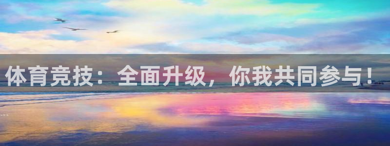 体育竞技：全面升级，你我共同参与！