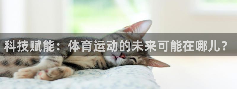 科技赋能：体育运动的未来可能在哪儿？