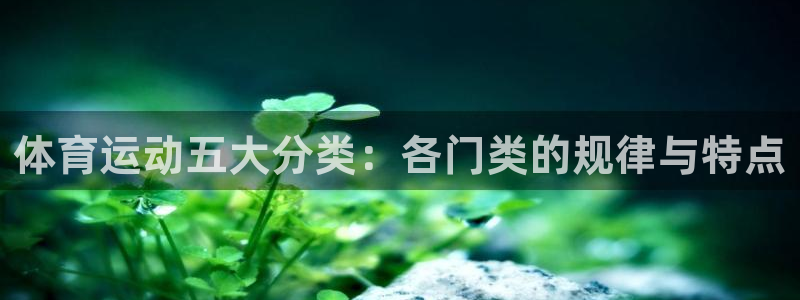 体育运动五大分类：各门类的规律与特点