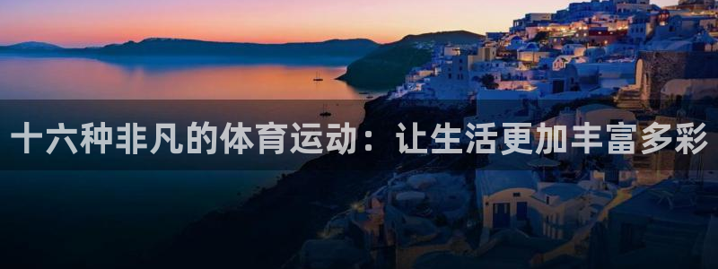 十六种非凡的体育运动：让生活更加丰富多彩