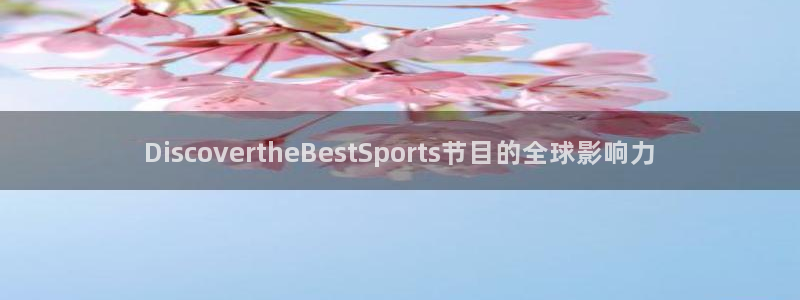 DiscovertheBestSports节目的全球影响力