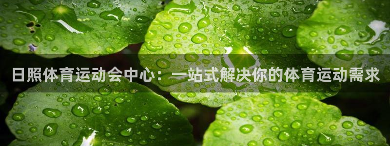 日照体育运动会中心：一站式解决你的体育运动需求