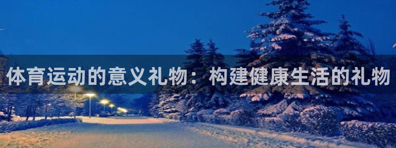 体育运动的意义礼物：构建健康生活的礼物