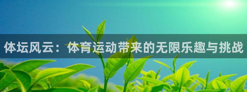 体坛风云：体育运动带来的无限乐趣与挑战