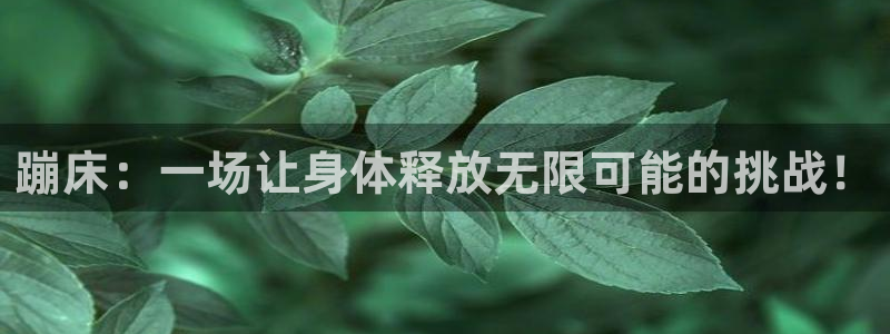 蹦床：一场让身体释放无限可能的挑战！