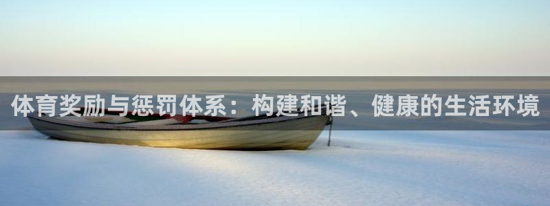 体育奖励与惩罚体系：构建和谐、健康的生活环境