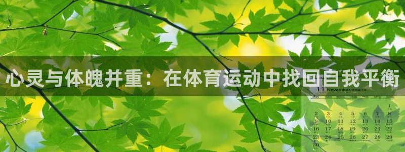 心灵与体魄并重：在体育运动中找回自我平衡